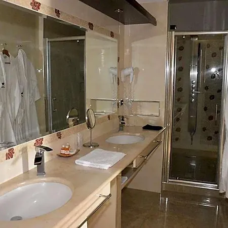Palace 4*