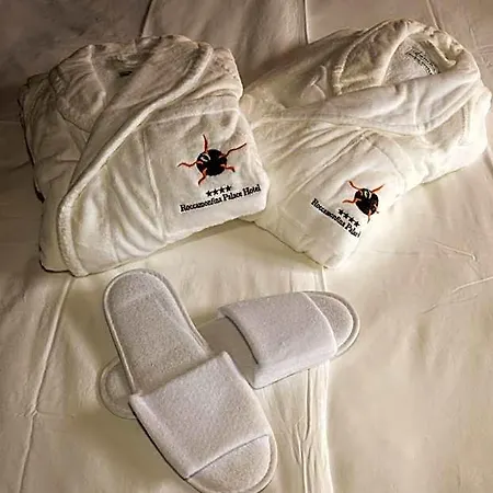 Palace 4*